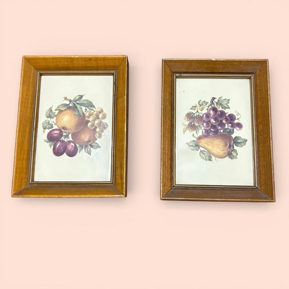 Vintage Framed Wooden Wall Shadow Boxes Fruit Art Lot Of 2 #’d & Handwritten